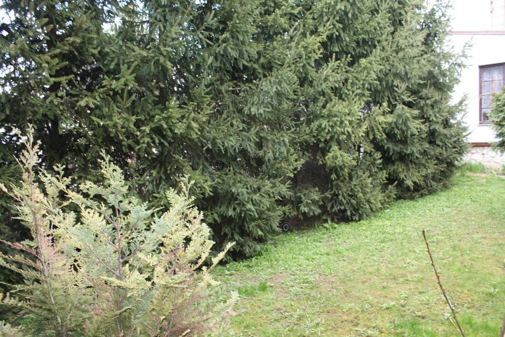 Penzion Oaza Trnava Ngoại thất bức ảnh